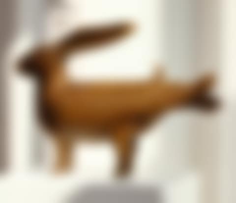 LAPIN POLYMORPHE (preview)