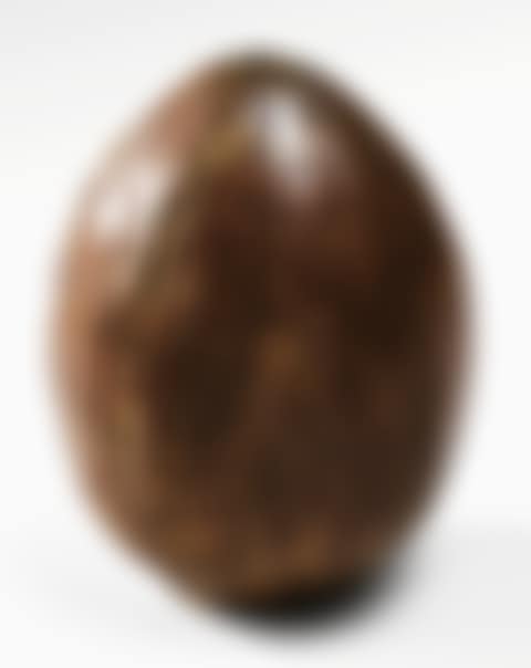 COLOQUINTE VASE (preview)