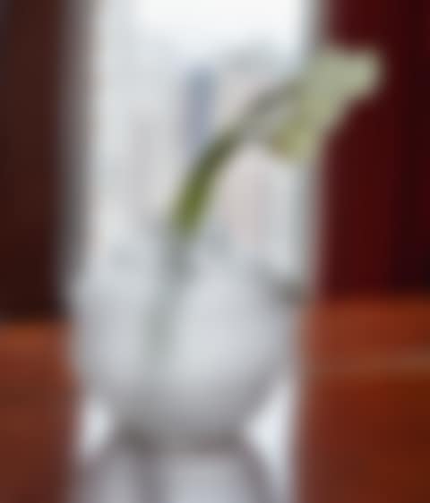 "SERPENT" VASE, MARCILHAC NO. 896 (preview)