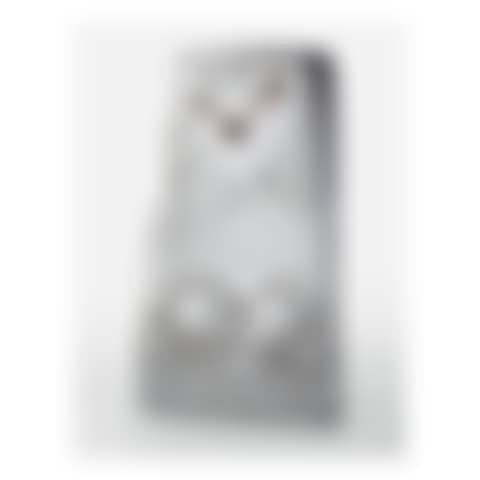 "TUDRIC" CLOCK, MODEL NO. 0255 (preview)