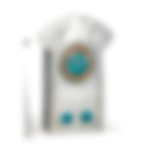 "TUDRIC" CLOCK, MODEL NO. 0370 (preview)