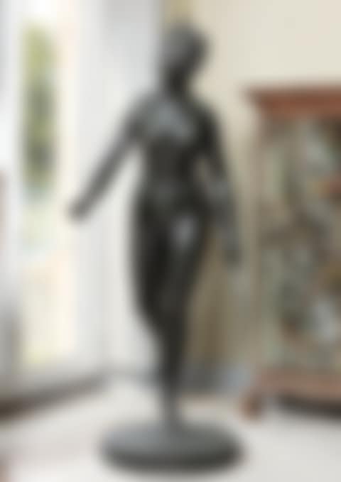 DIANA (preview)
