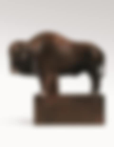 BISON AMÉRICAIN (preview)