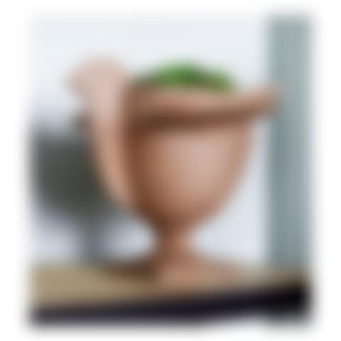 "COCOTTE" CACHEPOT (preview)