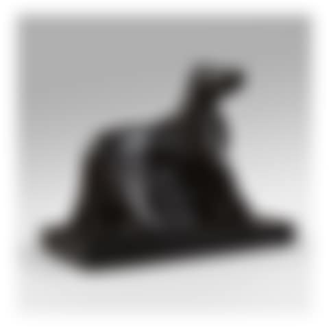ANIMAL (preview)