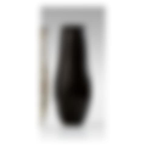 VASE (preview)