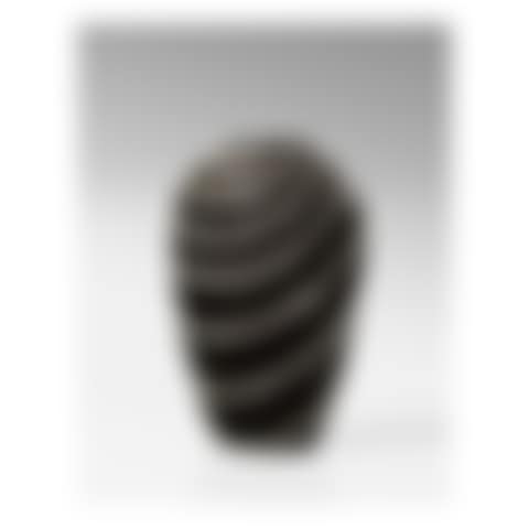 VASE (preview)