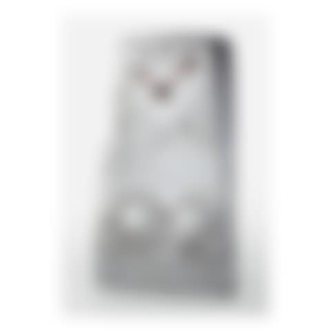 "TUDRIC" CLOCK, MODEL NO. 0255 (preview)