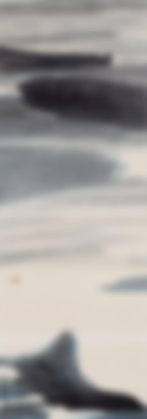 Landscape (preview)