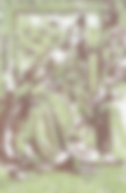 An Echo (preview)