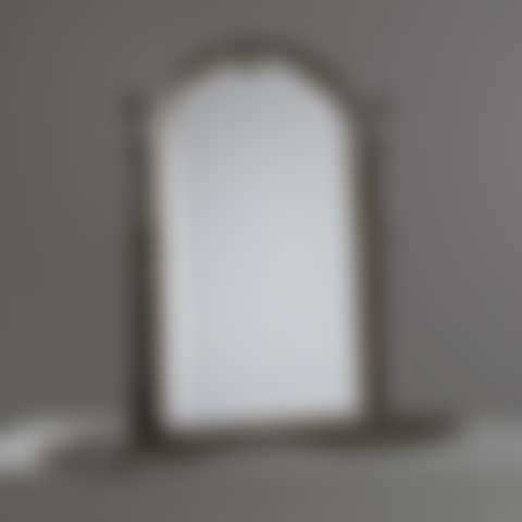 Fern mirror (preview)
