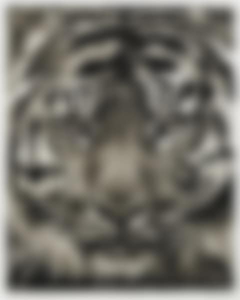 Study of a Tiger (No. 14) (preview)
