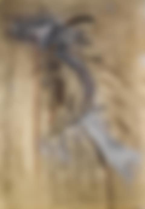 Untitled (Shaman Series) (preview)
