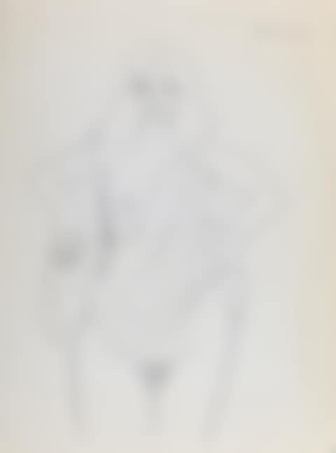 Untitled (Nude) (preview)
