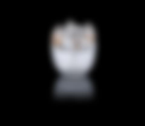 A 'Bellecour' Vase (preview)