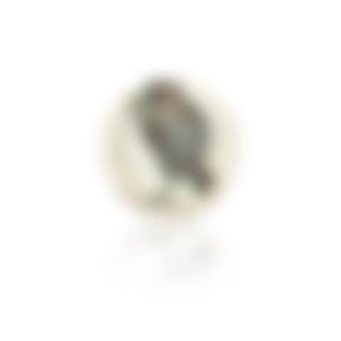 Oiseau au ver (Ramié 172) (preview)