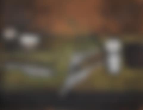 Still Life with Fish (preview)