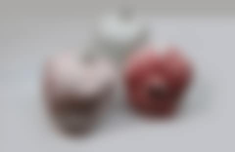 Agarics (preview)
