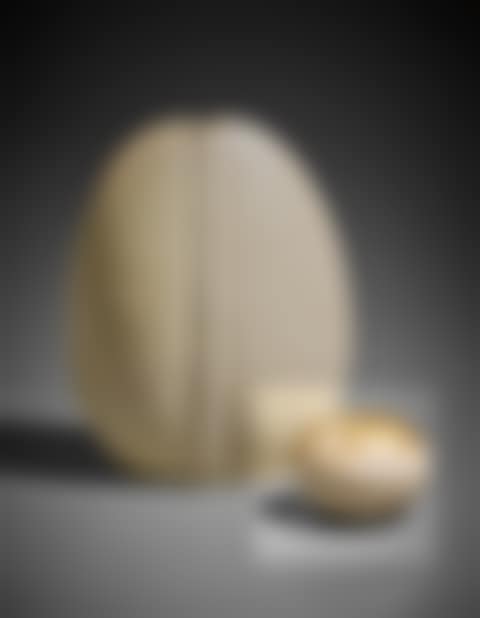 Vase (preview)