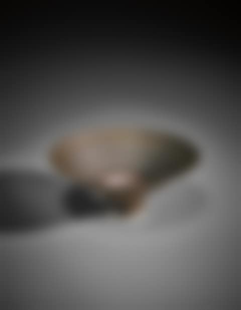 Footed bowl (preview)