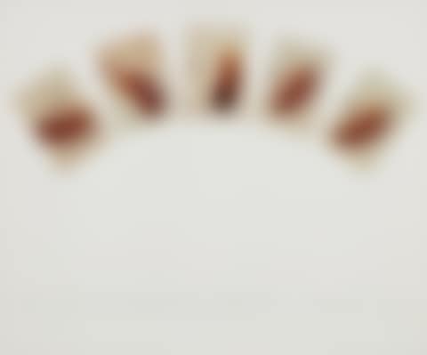 Five Pickles (With Fingerprints) in the Shape of a Hand, from Artists & Photographers (preview)