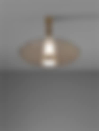 Ceiling light (preview)