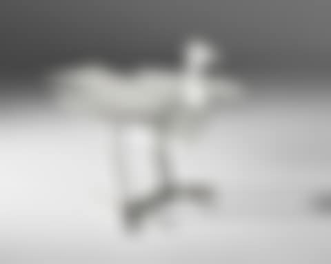 'Oiseau d'argent' extendable side table (preview)