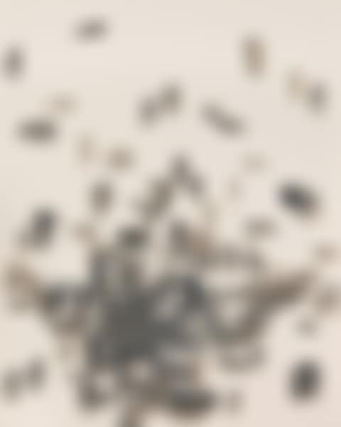 With Winds (preview)