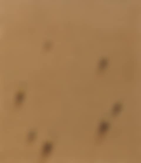 Water Drops (preview)
