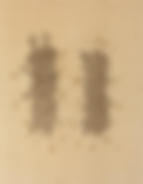 Water Drops (preview)
