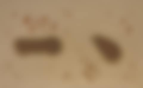 Water Drops (preview)