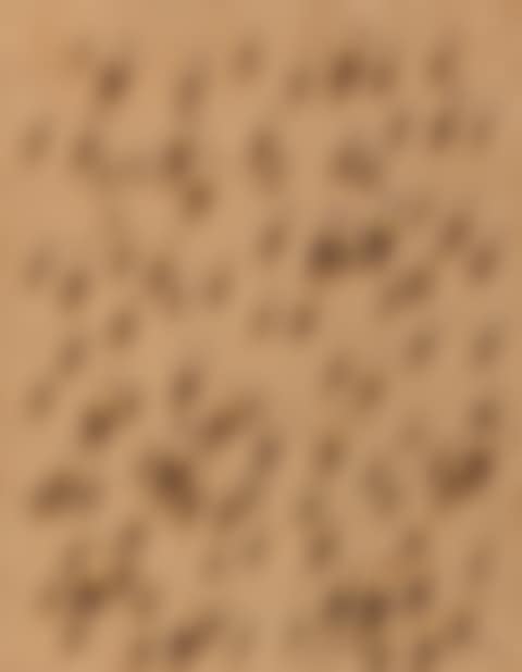 Waterdrops (preview)