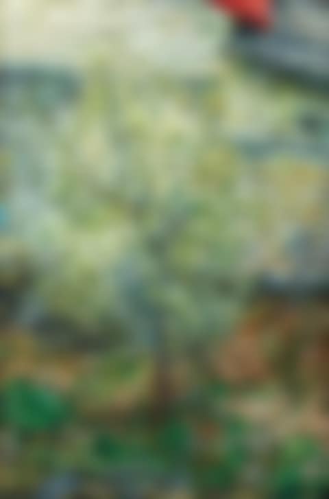 Tree (preview)