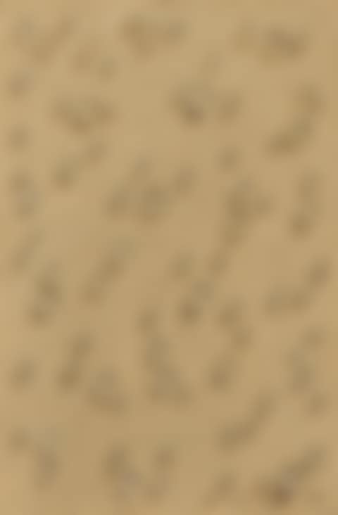 Waterdrops (preview)