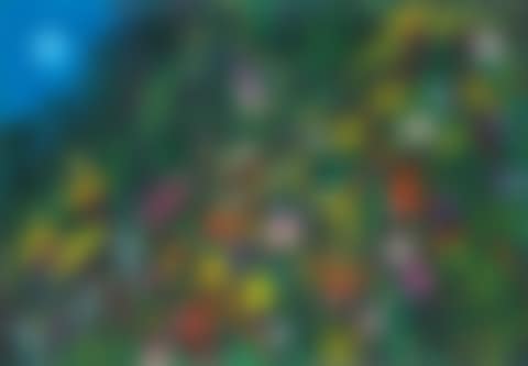 Summer Landscape (preview)