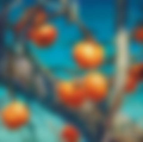 Persimmons (preview)