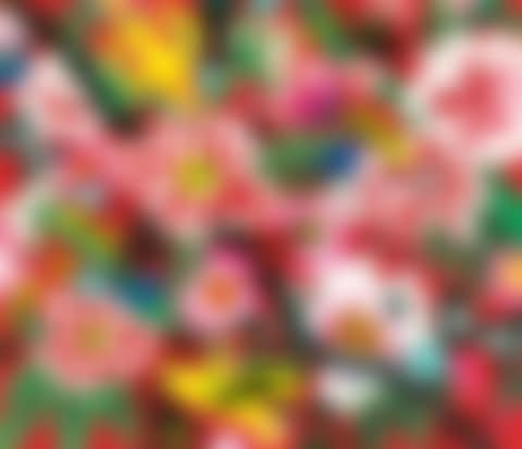 Full Bloom (preview)