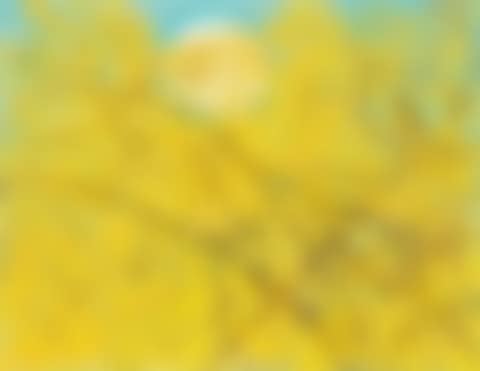 Forsythia and the Moon (preview)