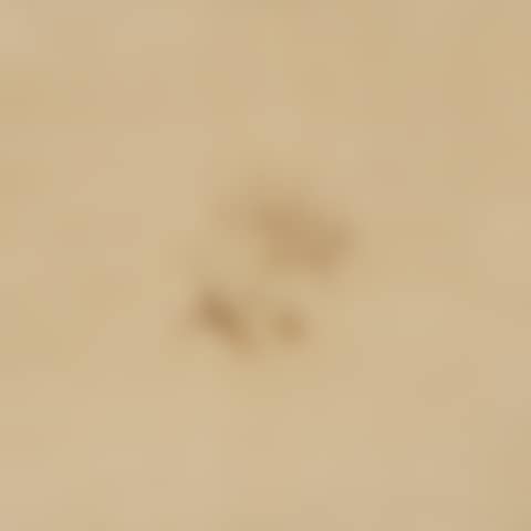 Waterdrops PA83023-82 (preview)