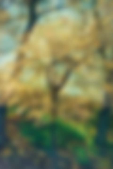 Spring (preview)