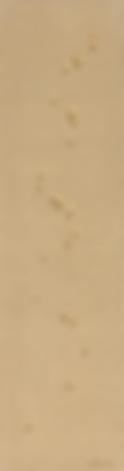 Waterdrops (preview)