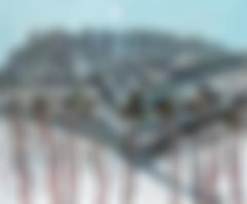 Winter Landscape (preview)