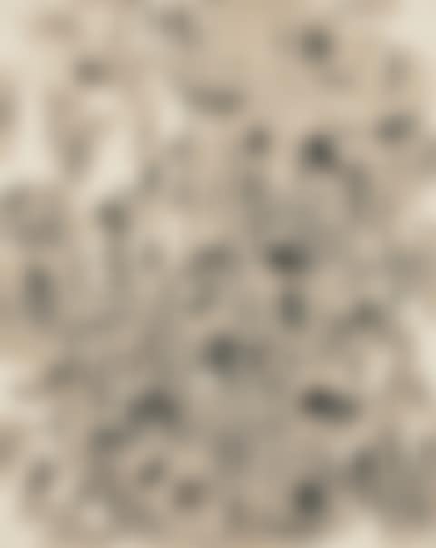 With Winds (preview)