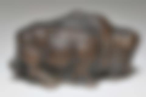 Bison (preview)