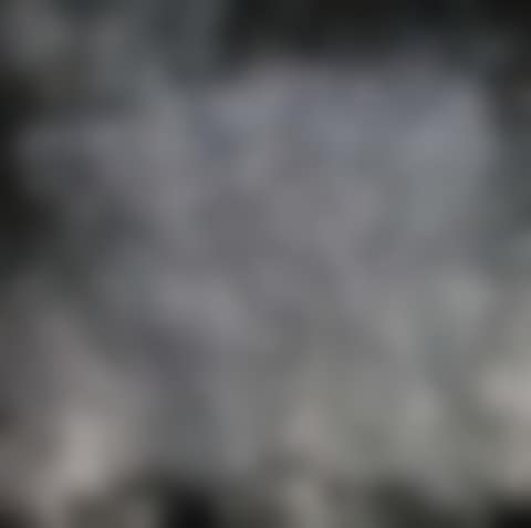 Brothers Back to Back (preview)