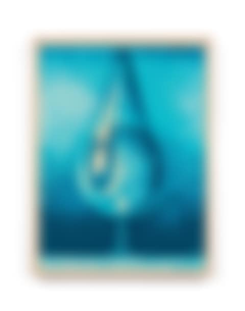 Earth Crisis Drop (preview)