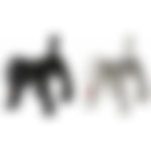 Shinning Doggy (preview)