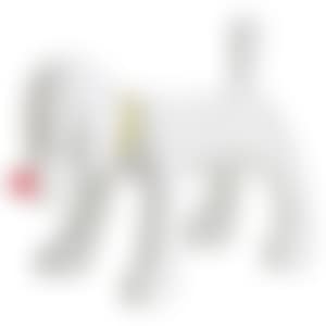 DOGGY RADIO (preview)