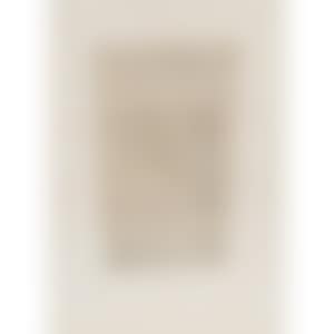 Pisa (Vertical) (preview)