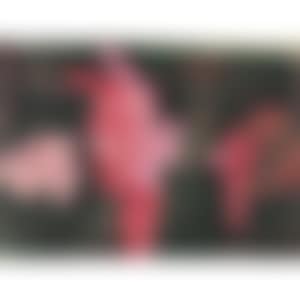 May-10-91 (preview)